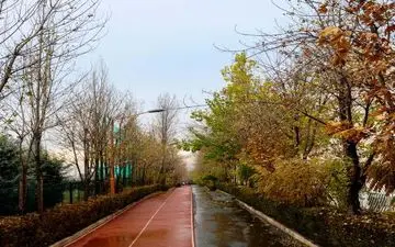 تمدید تعطیلی مجموعه انقلاب