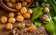 هر روز گردو بخورید 