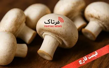 قیمت قارچ امروز ۲۱ مهر ۱۴۰۴ | بازار داغ و نوسان لحظه‌ای