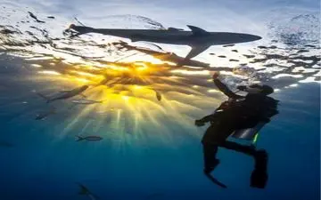  عکس منتخب نشنال جئوگرافیک | در دسترس