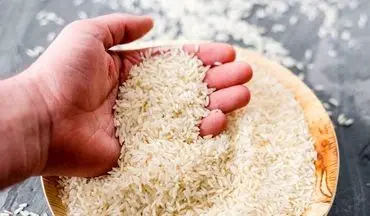 
برنج به زودی ارزان می شود / منتظر کاهش قیمت باشید 