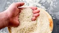 
برنج به زودی ارزان می شود / منتظر کاهش قیمت باشید 