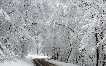 خوش‌ شانس‌ ترین شهروند ایرانی پس از بارش برف + عکس