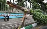 آمادگی نیروهای خدمات شهری برای مقابله با سیل و طوفان‌های احتمالی تهران