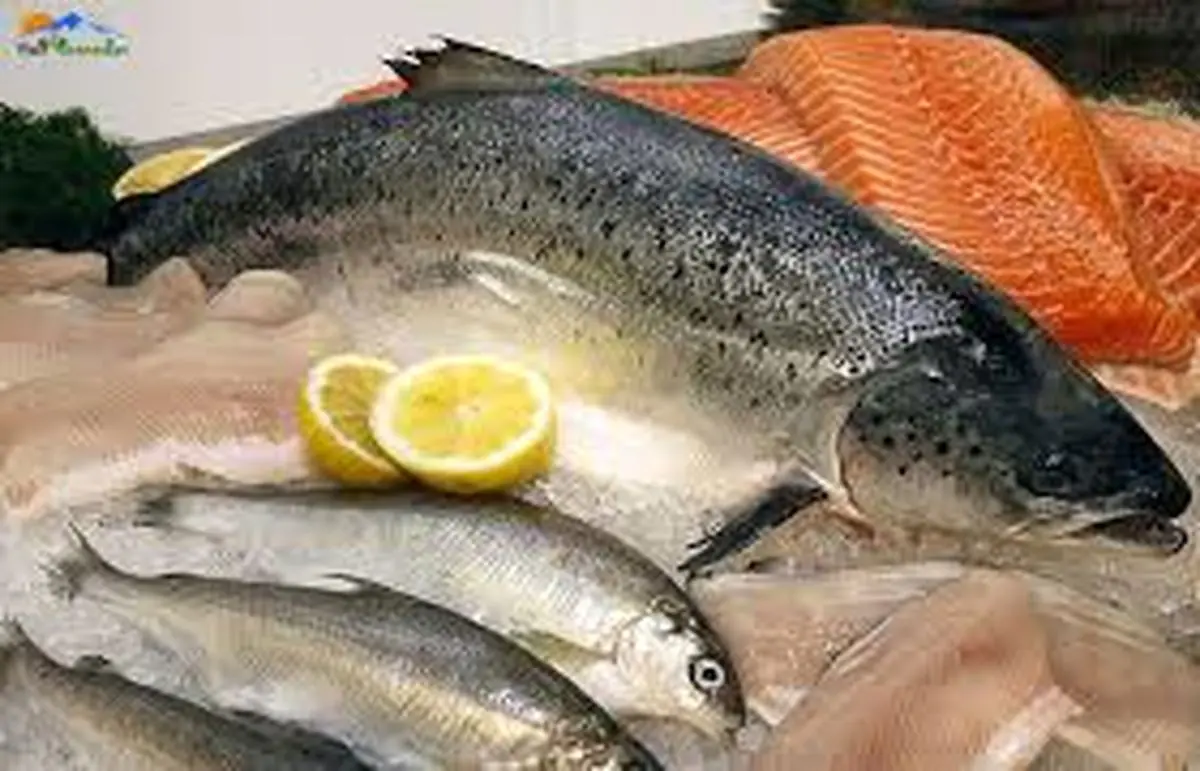 جدیدترین قیمت ماهی های پرفروش بازار (۱ اسفند) 