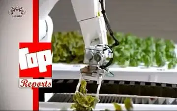 رونمایی از ربات های خاص در «گزارش های برتر» کانال اردو شبکه جهانی سحر