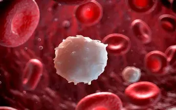 این خوراکی‌ها کلسترول خون را پایین می‌آورند!