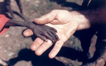 عکس «قحطی در اوگاندا» در آلبوم شبکه پرس تی وی