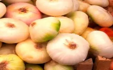 آشنایی با گیاه موسیر