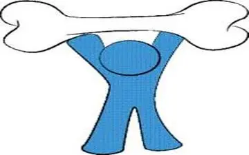 با این ژریم غذایی استخوان هایی سالم داشته باشید