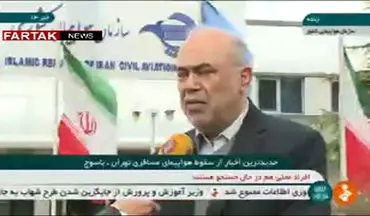 اظهارات رئیس سازمان هواپیمایی درباره سقوط هواپیمای تهران-یاسوج + فیلم