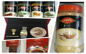 راه اندازی یک واحد بسته بندی مواد غذایی در شهرستان کرمانشاه