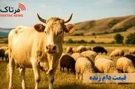 پیش‌بینی قیمت دام زنده ۱۴۰۴؛ تحلیل + نظر کارشناسان!