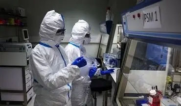  ویروس مقاوم به تب؛ هشدار پژوهشگران درباره تهدید احتمالی همه‌گیری جدید