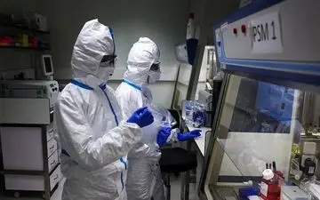  ویروس مقاوم به تب؛ هشدار پژوهشگران درباره تهدید احتمالی همه‌گیری جدید