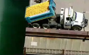 ۶۳ هزار جوجه اردک پلاستیکی در رودخانه شیکاگو!