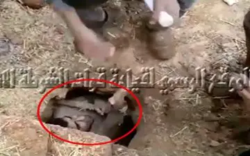 لحظه لو رفتن داعشی که مدت‌ها مخفیانه زیر خاک زندگی می‌کرد +فیلم 