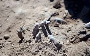 ویدیویی ناراحت کننده از لحظه وحشتناک حادثه‌ای که چند نفر زنده زنده دفن شدند!