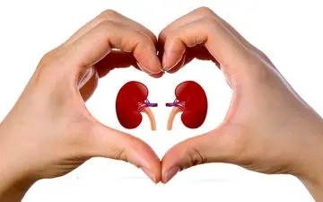 وقتی کلیه ها سنگ ساز می شوند