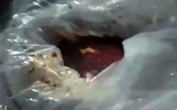 کشف ۱۰۰ تن رب فاسد در کارخانه معروف کشور در دماوند!