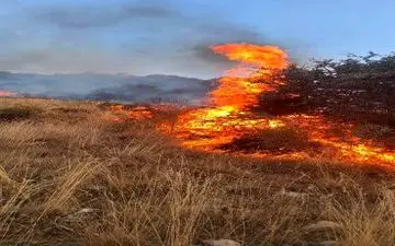 معرفی ۹ نفر از عاملین آتش‌سوزی جنگل‌ها و مراتع اسلام آبادغرب به مراجع قضایی