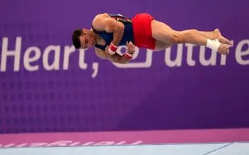  نایب‌رئیس فدراسیون ژیمناستیک: درخواست ما برگزاری مجمع فوق‌العاده و تجدید انتخابات است 