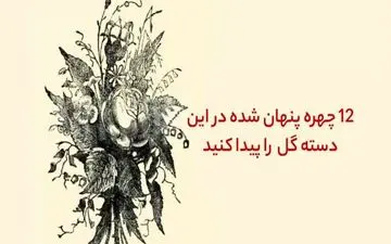 اگر 12 چهره پنهان در عکس را پیدا کنی یک نابغه ای !