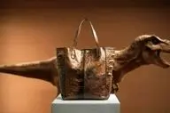 پای دایناسورها به مد باز شد؛ دانشمندان به دنبال ساخت چرم لوکس از دایناسور تی‌رکس