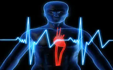 کاری که الکل با قلب می کند!