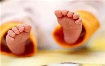  جزئیات جدید از عرضه شیرخشک