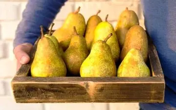 این میوه ها باید دور از سیب زمینی باشند