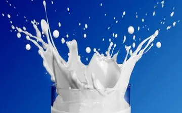 قیمت لبنیات به نرخ قانونی بازنگشت