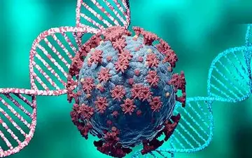 کرونا در جهان/ ابتلای بیش از ۲.۵ میلیون نفر در ۲۴ ساعت گذشته
