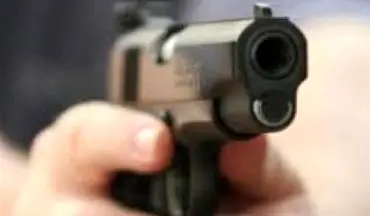 کشف ۷۶ قبضه اسلحه و انهدام ۴ باند قاچاق سلاح در کرمانشاه