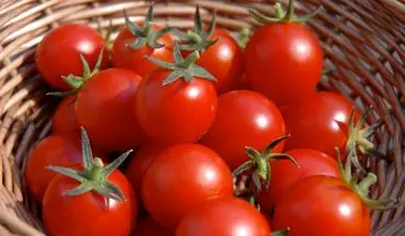 گوجه فرنگی؛جایگزینی برای آسپرین