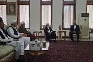 علمای شیعه افغانستان: شریک غم ملت ایران هستیم