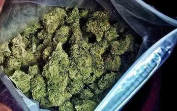 کشف مواد مخدر گل، شیشه و حشیش از غرب و شرق تهران