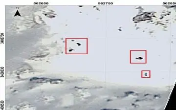  کشف ۴۵ پیکر مسافران سانحه سقوط هواپیمای تهران - یاسوج