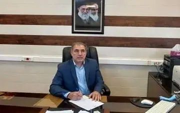 اجباری شدن ثبت اعتراض مودیان در درگاه الکترونیکی مالیاتی     