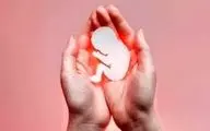 مصرف اسیدفولیک از سقط جنین پیشگیری می‌کند