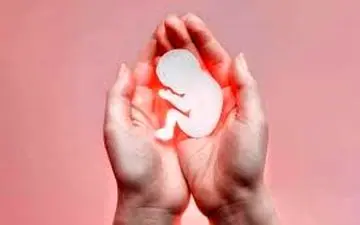 مصرف اسیدفولیک از سقط جنین پیشگیری می‌کند