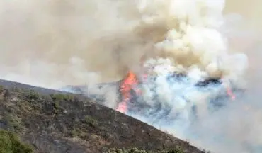 پارک ملی گلستان دچار آتش‌سوزی شد
