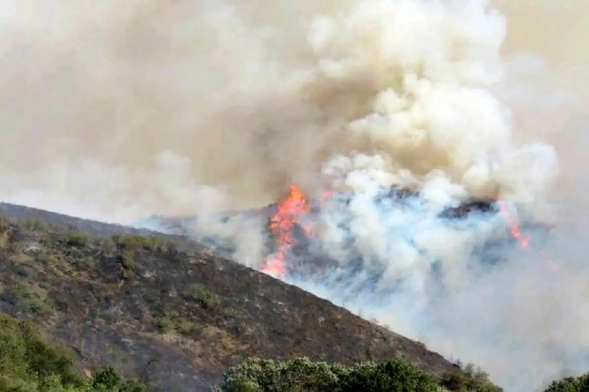 پارک ملی گلستان دچار آتش‌سوزی شد
