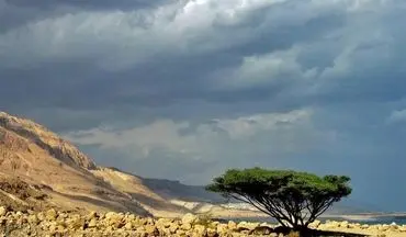 سیل در اردن جان دانش‌آموزان را گرفت