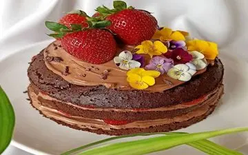 آموزش  کیک خیس بدون شکر | این کیک برای تمام سلیقه ها عالیه!