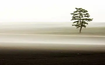  عکس منتخب نشنال جئوگرافیک | باغبان زمان