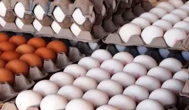 
قیمت هر شانه تخم‌ مرغ چند؟
