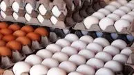 
قیمت هر شانه تخم‌ مرغ چند؟
