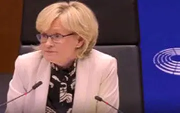 جدال لفظی معاون پارلمان اروپا با رهبر حزب برگزیت