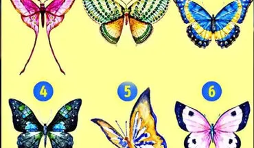 تست شخصیت شناسی تصویری| کدام پروانه را انتخاب می کنید؟
